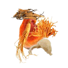 Chất Lượng Là Tiêu Chí Hàng Đầu