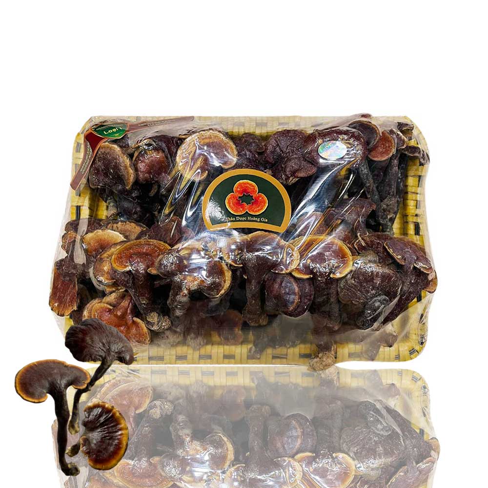 Nấm Lim Xanh Rừng Quảng Nam – Hoàng Gia Cao Cấp 1Kg