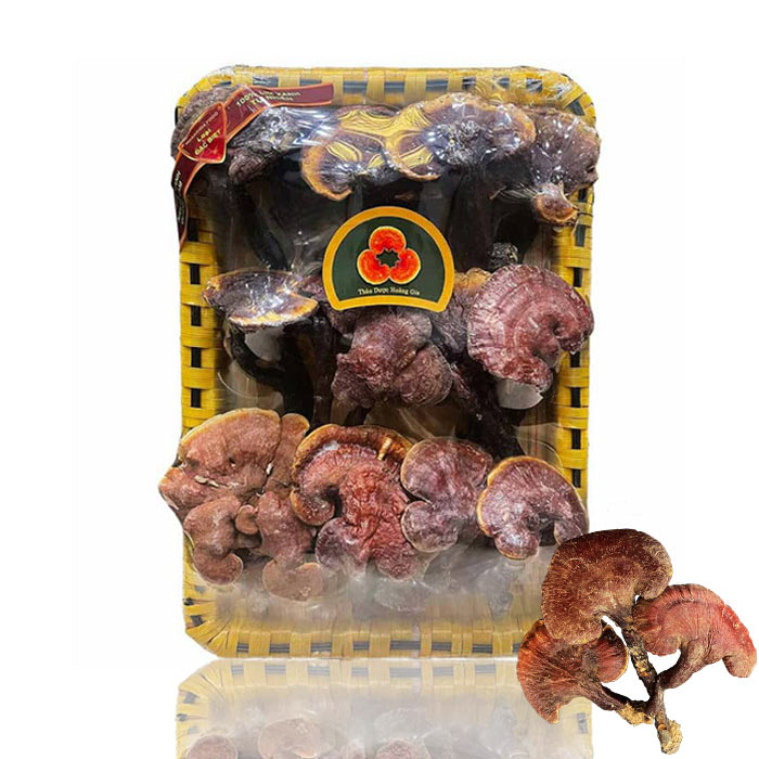 Nấm Lim Xanh Rừng Quảng Nam – Hoàng Gia Loại Thượng Hạng Đặc Biệt 500g